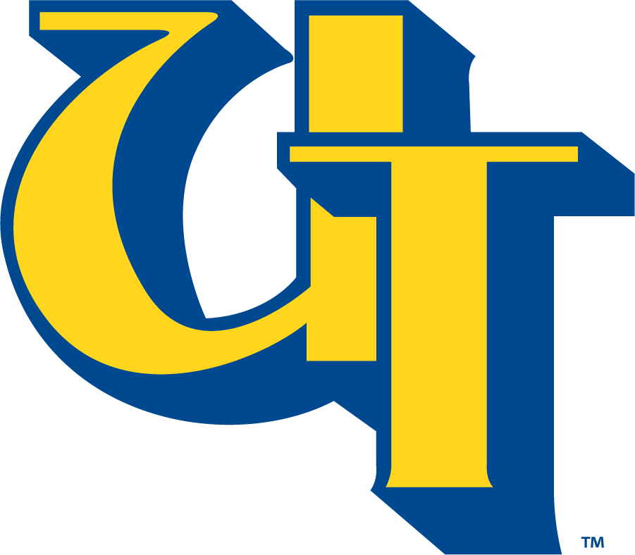 Toledo Rockets 1983-1995 Alternate Logo DIY iron on transfer (heat transfer)